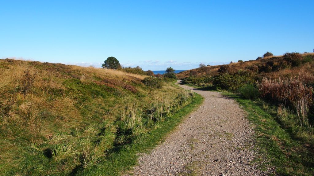 Braderuper Heide - Weg